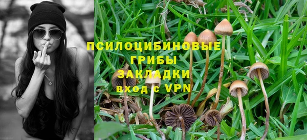 молекула духа Балабаново