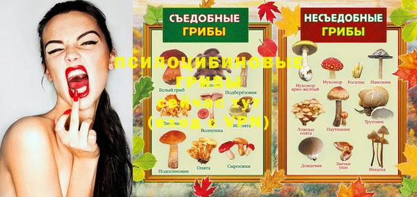 молекула духа Балабаново