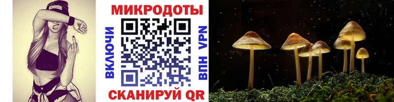 Галлюциногенные грибы Psilocybe  что такое наркотик  Белоусово 